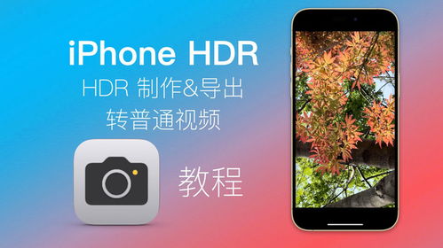 iPhone手机拍摄的HDR视频,后期怎么处理,来看看详细操作教程