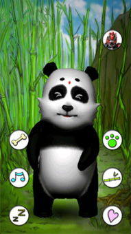 会说话的熊猫app下载