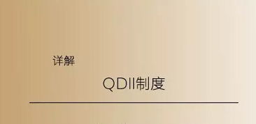 QDII制度是什么意思啊？