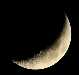 关于李白写月亮的诗句有哪些
