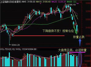 请教下罗伟广的控盘手法~和他以前操作过哪些股票？小弟感谢万分~~