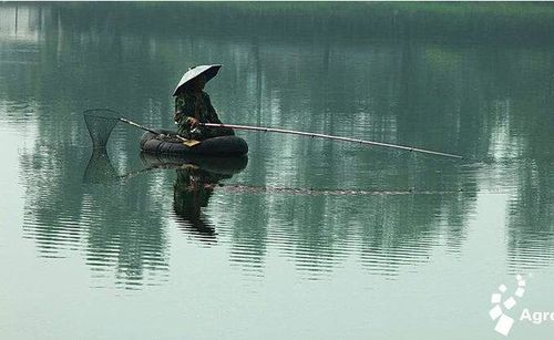 雨天出钓,告诉你如何选择时间及钓点