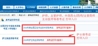 中国卫生人才网查询成绩，中国卫生人才网官网准考证打印入口