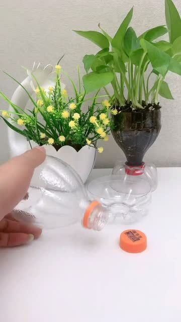 废弃塑料瓶妙做花盆,简单漂亮 
