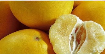 柚子属于高蛋白食物吗 