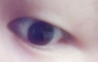 有没有人知道这是什么类型的眼睛啊 有人说是丹凤眼有人说是睡凤眼有人说是标准眼 居然还有人说是斗鸡眼 
