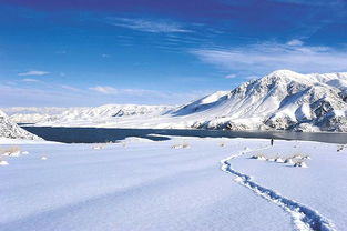 大雪 茫茫原野一片白,万物冬藏待春来 