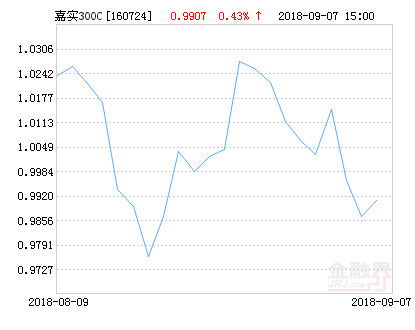 什么指数联接基金净值