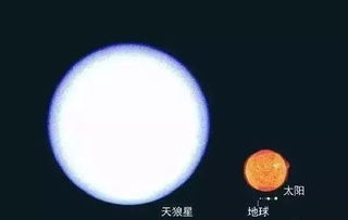 宇宙中最大的星球和太阳对比