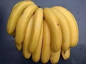 形容香蕉的词语 又什么又什么 形容食物美味的词语