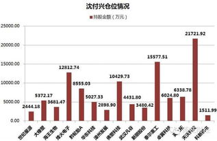 沈付兴在哪些股票里是十大流通股东