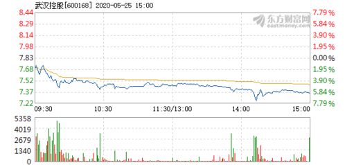 如何看武汉控股这支股票...为什么5月初到现在波动都比较大