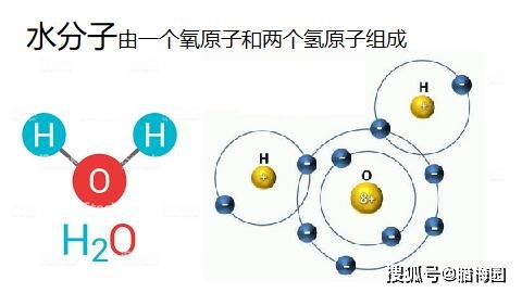 水的冷知识(水的小知识)