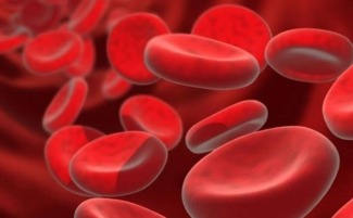 a型血和b型血生的孩子是什么血型 a型血和b型血生的孩子会溶血吗