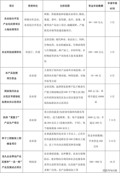 去申请企业项目的补助需要用多长时间？