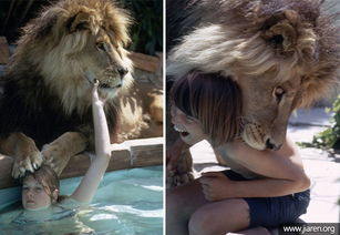 美女明星和她的宠物狮子,我都快吓尿了 