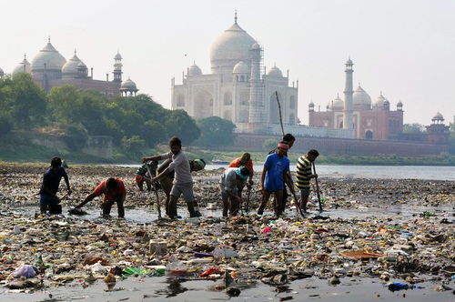 印度为什么发展几千年，卫生环境，一直这么脏