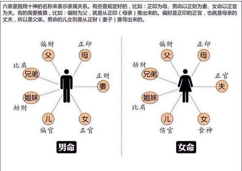 八字讲义六 注明各干支的十神 十二运星 