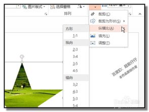 PPT图片怎样裁剪,自定义裁剪为任意图形