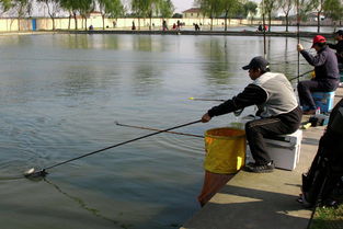 怎么才能钓好滑口鲤鱼 在黑坑钓场钓滑口鲤鱼的技巧和饵料配方