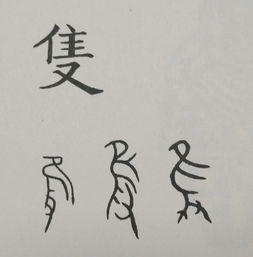 有趣的汉字王国汉字里站立的人 图片欣赏中心 急不急图文 Jpjww Com