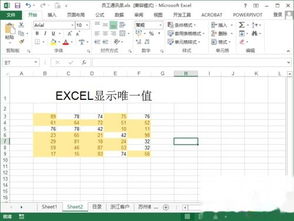 Excel如何显示标记数字唯一值 