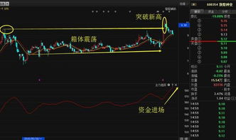 600354敦煌种业 今天能看高多少？是不是要突破前期高点的可能