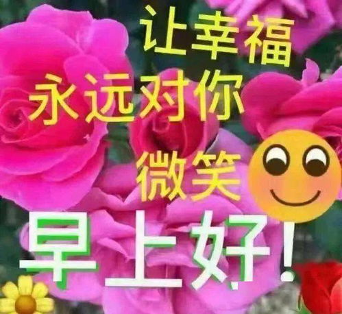 2021朋友圈清晨暖心祝福问候图片,唯美鲜花早上好温馨祝福语录