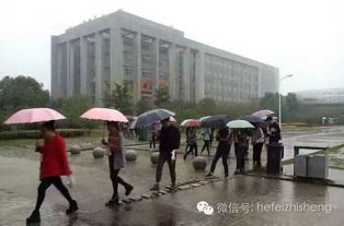 合肥高校保洁大爷暴雨为学生铺砖搭路,最美大爷 