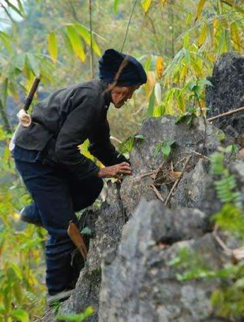 她出生于清朝,61岁生孩子,125岁上山砍竹子,专家 生活太规律