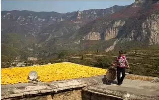 秋季旅行早做打算,河南这十个地方绝对是自驾游最好的去处