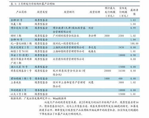 什么是股票溢价率