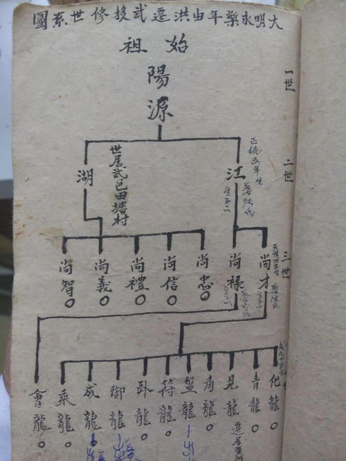 家谱填写登记样本图图片