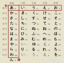日语学习丨日语零基础如何学五十音