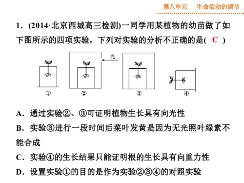 2015高三生物 广东版 一轮课件 高考热点集训09 植物的激素调节 含2014年试题,共29张PPT 下载 生物 