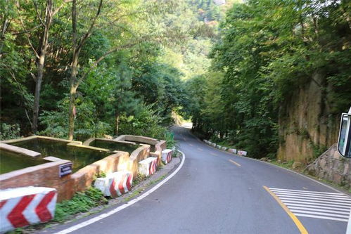 避暑养生地,南阳老界岭 未见倾心,一见倾情