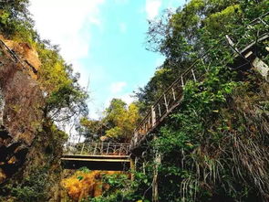 暖心惊喜 去平安山各种浪,只要不到一杯奶茶价 