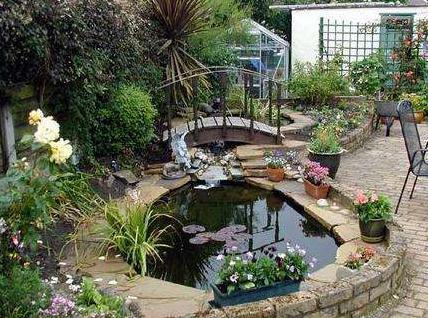 庭院别忘记做一个鱼池,不仅具有观赏性,更是财运的象征