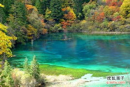 踏春 十二星座桃花出行地 