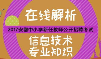 小学劳技考编专业知识