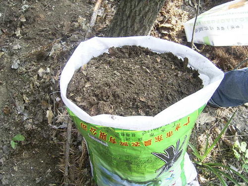 花匠提醒 路边挖的腐叶土,用1个偏方处理,不生虫 养啥旺啥