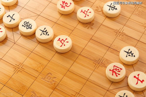 我爱象棋,象棋人生与象棋的快乐时光,象棋的艺术文化