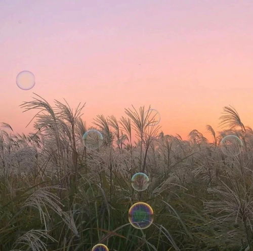 背景图 干净温暖阳光的朋友圈背景图