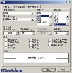 在Word2003文档窗口中使用复选框或单选按钮 