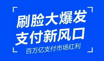 陕西禾茗网络科技有限公司是做刷脸支付的吗？