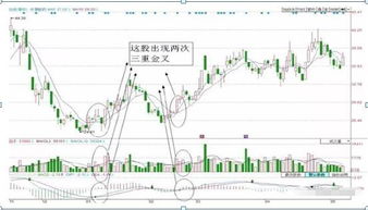 酒钢宏兴：19次金叉数据显示TRIX再次出现，最佳买入时机！