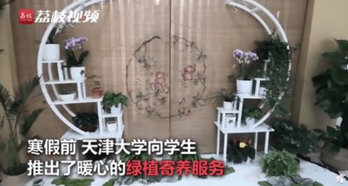 贴心 天津大学为学生提供寒假绿植寄养服务,网友直呼别人家的学校