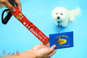 整治初见成效 广州养犬登记一月增八千只 