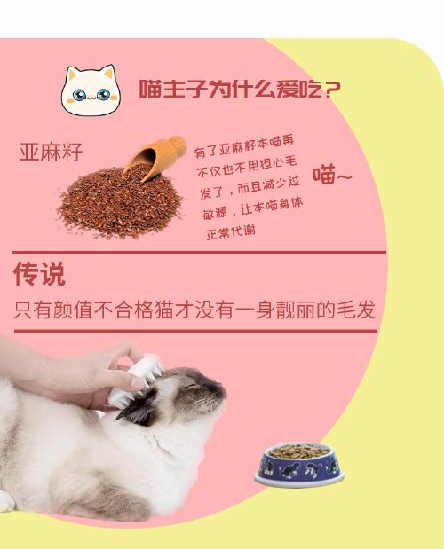 布偶猫怎么喂养 漂亮可爱的布偶猫吃什么猫粮好