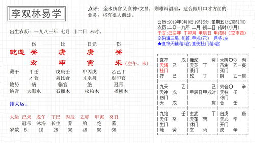 李双林四柱八字教程